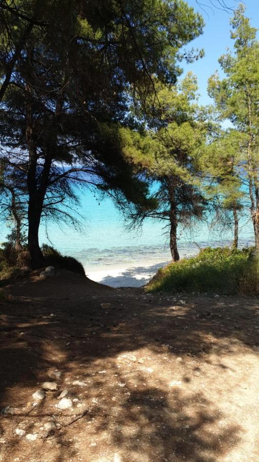 Villa Sandra كريوبيجي المظهر الخارجي الصورة